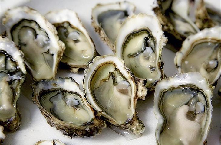 oyster tiffany blue