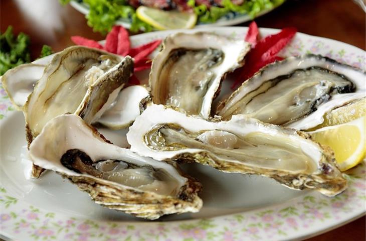 oyster bezel