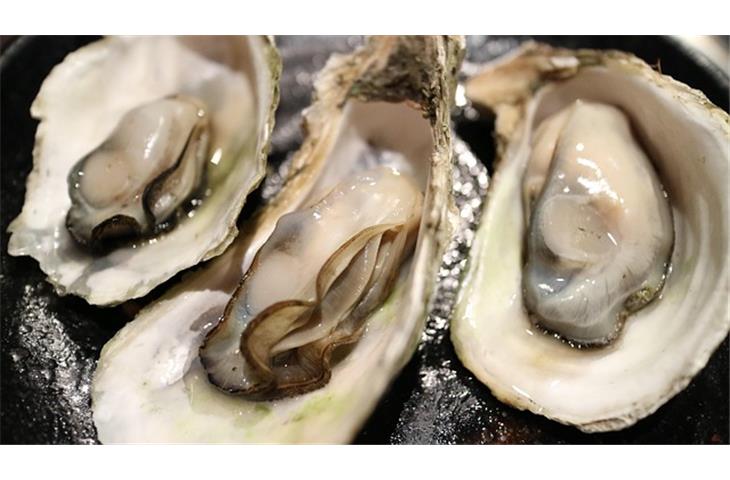 oyster tiffany blue